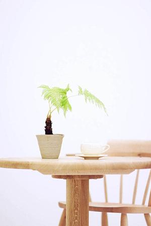 マンションリフォームを札幌でするなら